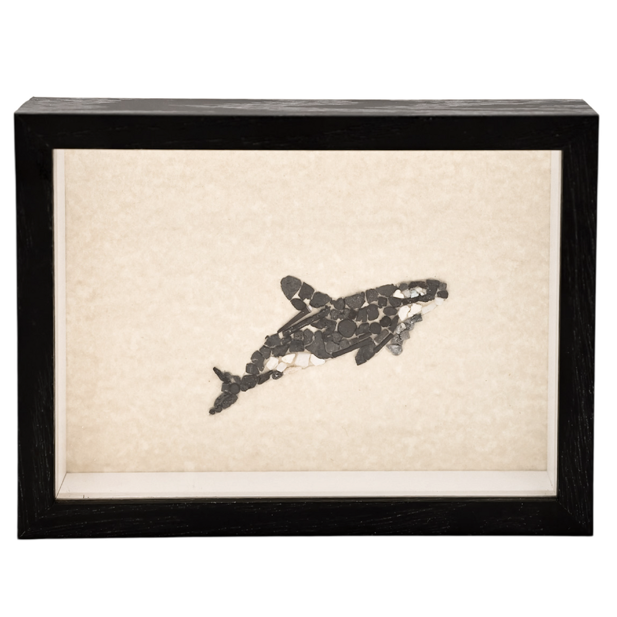 ORCA SHADOWBOX