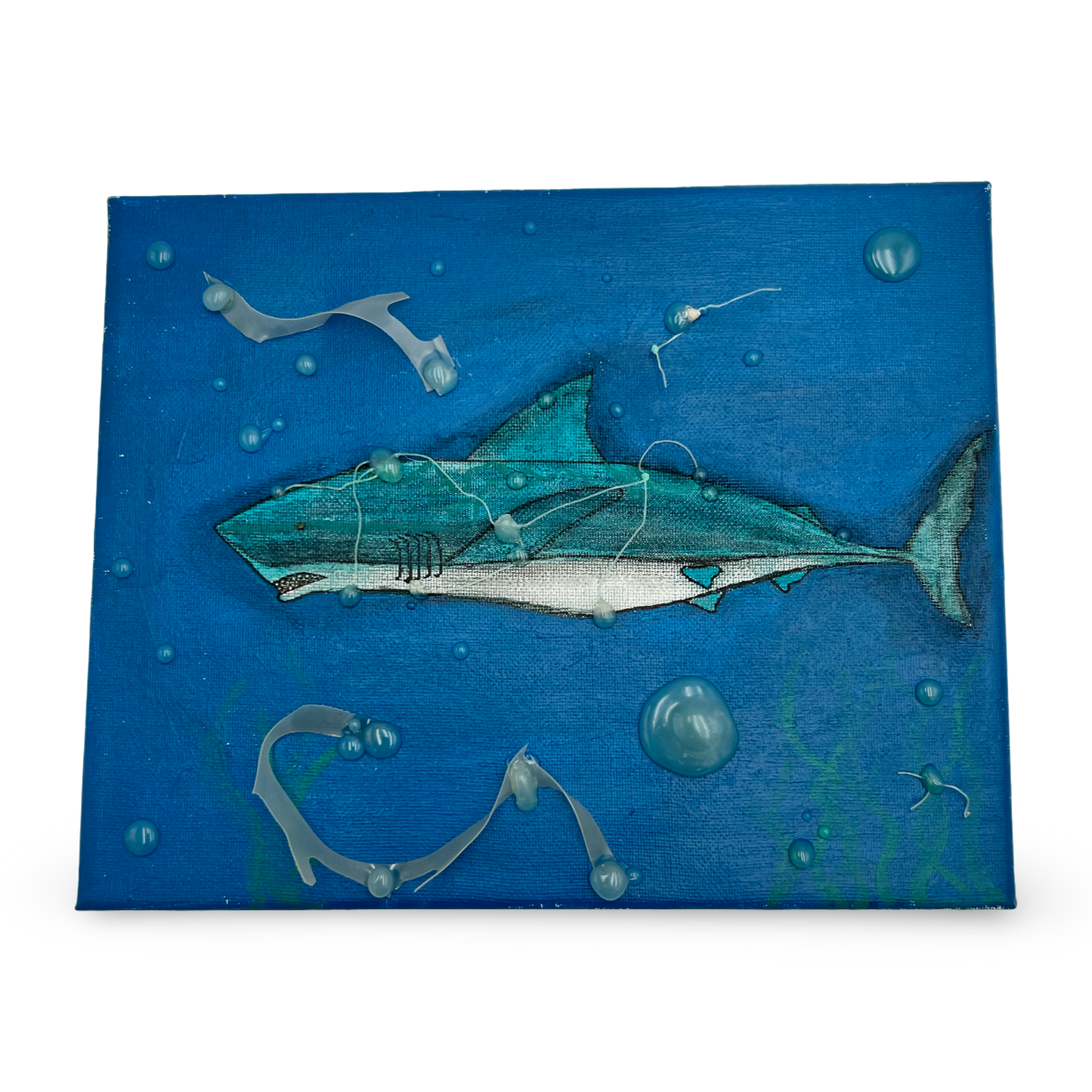Shark in Distress