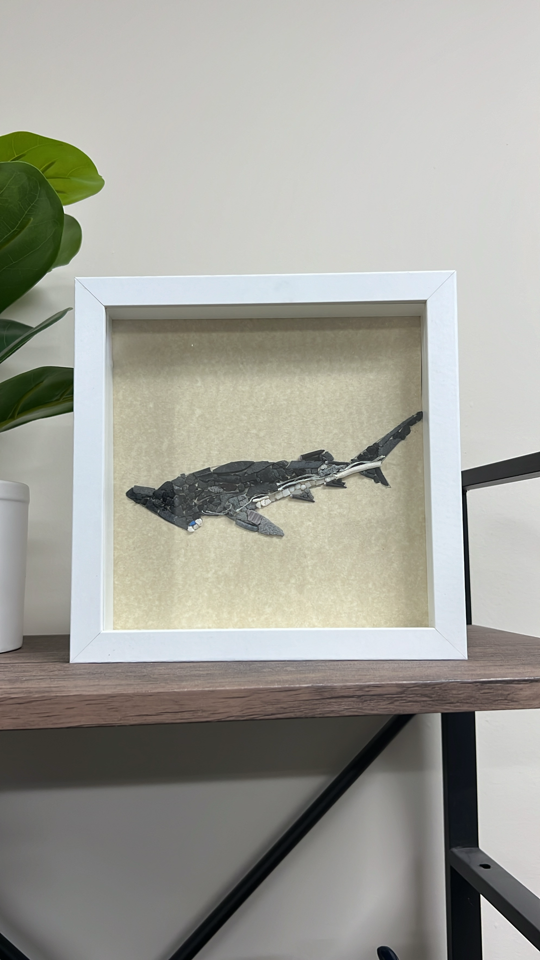 FINLESS HAMMERHEAD SHARK