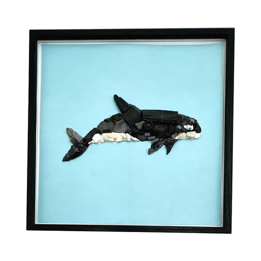 ORCA SHADOWBOX