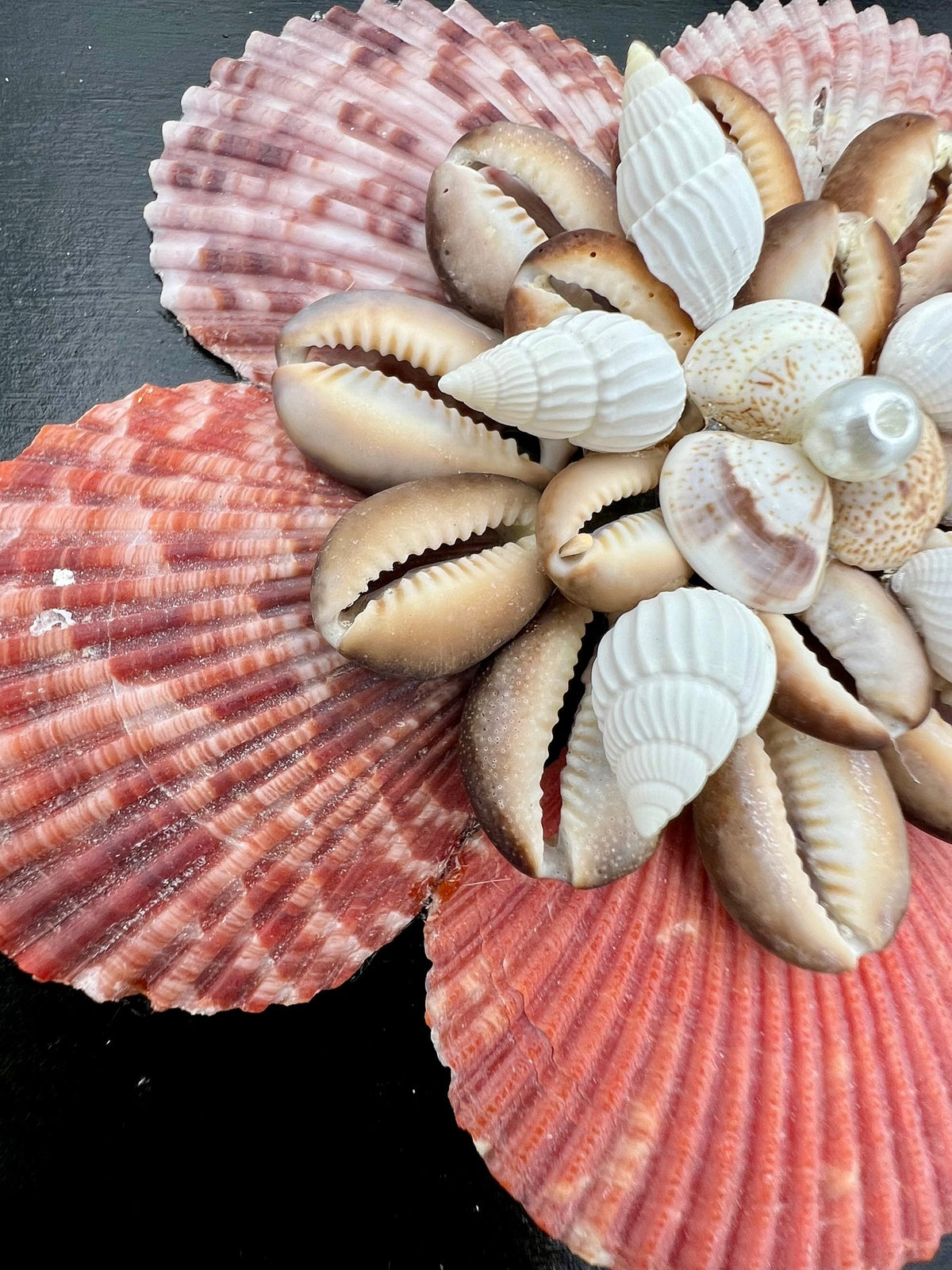 Sea Flowers