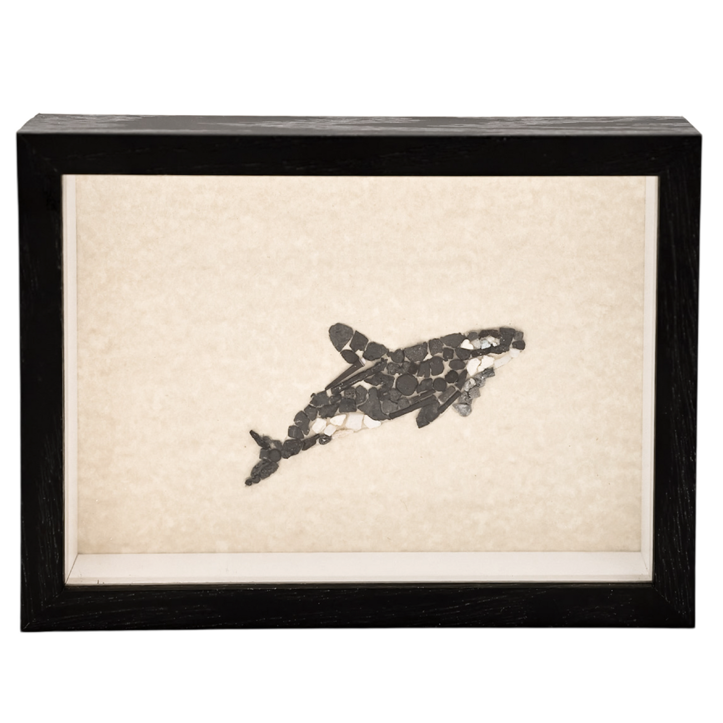 ORCA SHADOWBOX