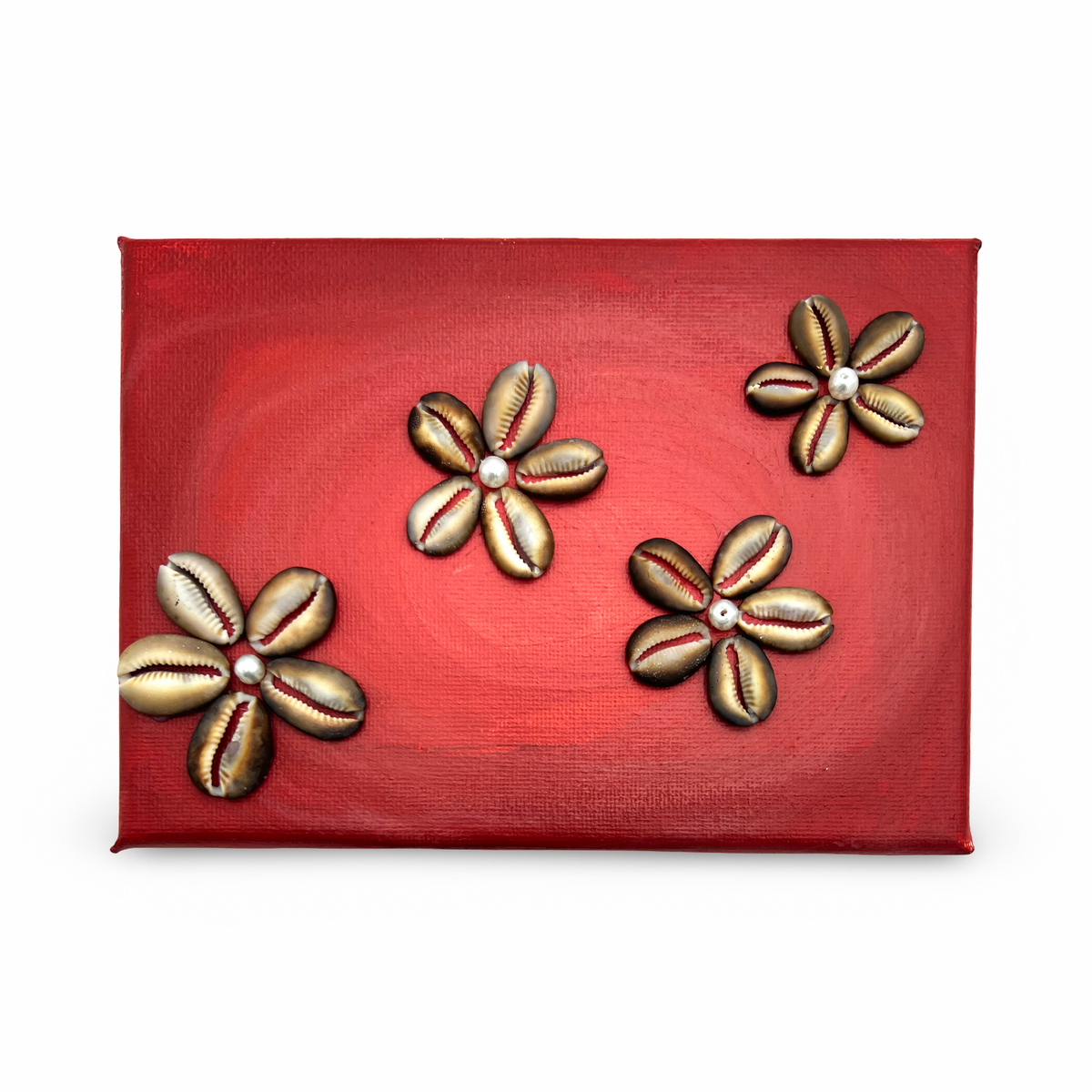 Cowrie Flowers