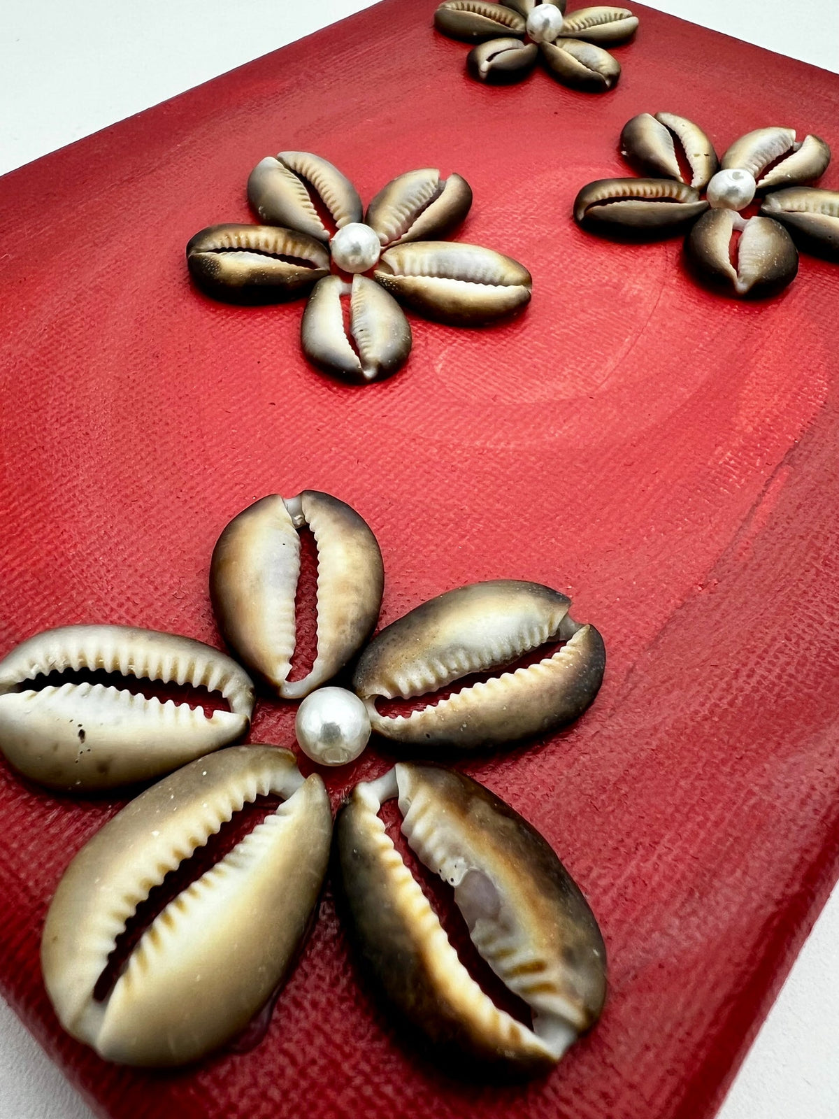 Cowrie Flowers