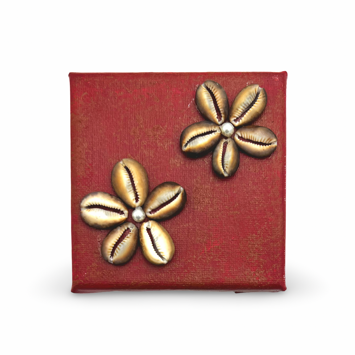 Cowrie Flowers