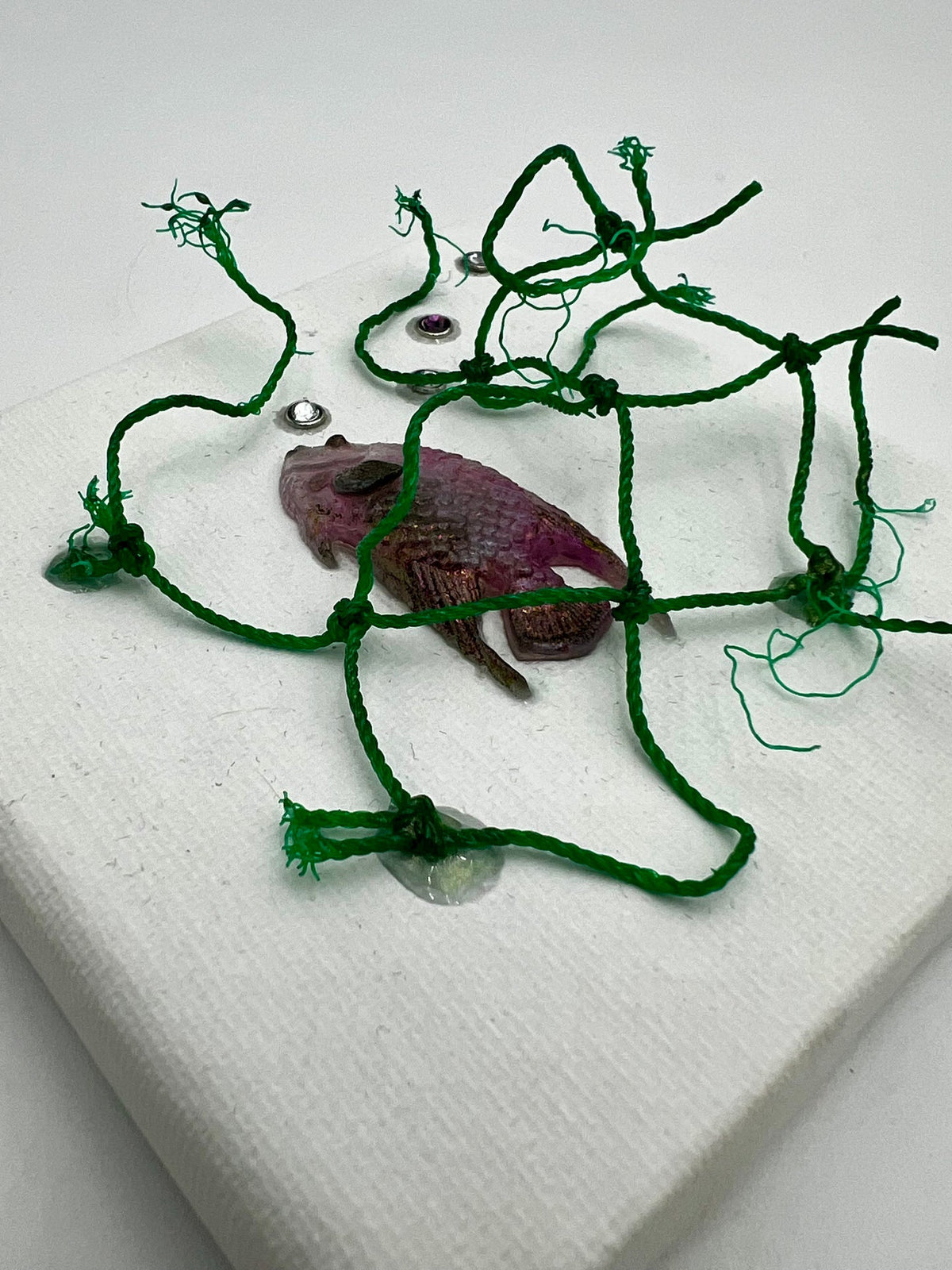 Ghost Net