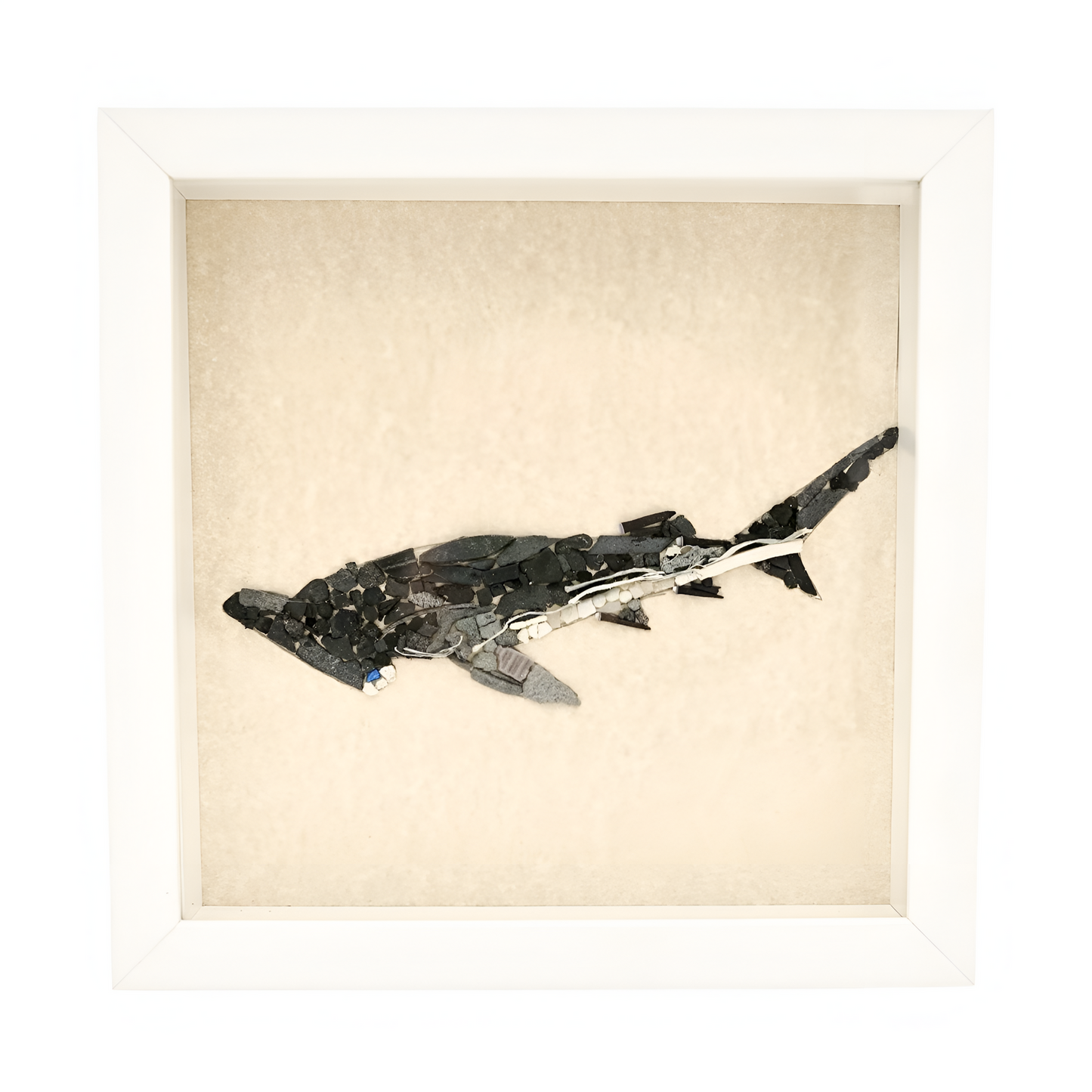 FINLESS HAMMERHEAD SHARK